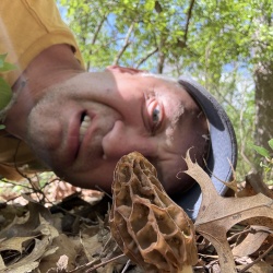 Mushrooms