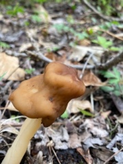 IMG 1346