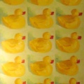 Still-life-of-15-complacent-ducks